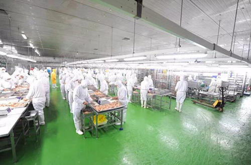 食品廠(chǎng)手提泵吸式臭氧分析儀-多信號-高精度